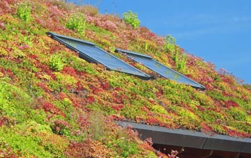 Bradley Fold living roof systems